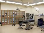 The Brown Hand Center